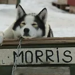 Husky 3* Ivalo