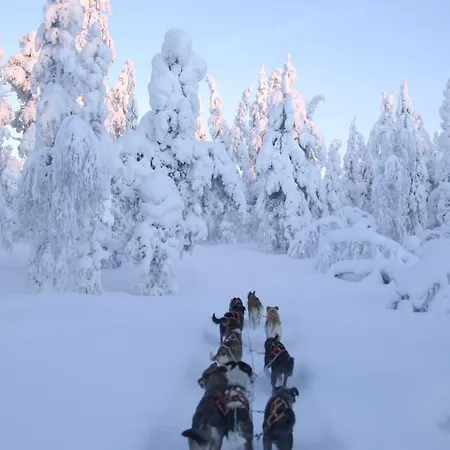 Guest house Husky